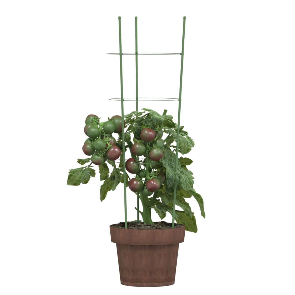 Plant supports with 3 rings 5 pcs. Green 60 cm steel