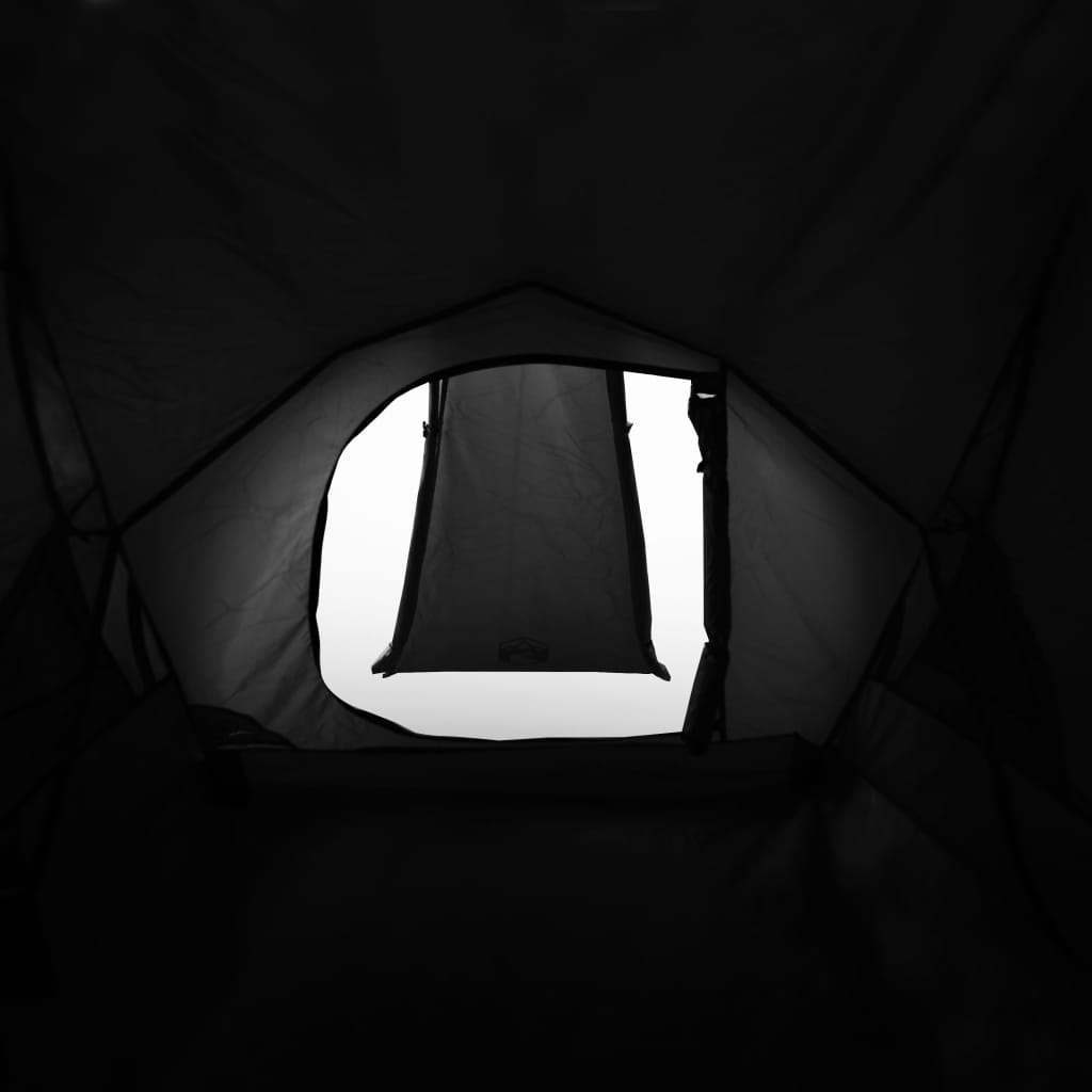 Tente de camping 2 personnes blanc 320x140x120 cm 185T taffetas