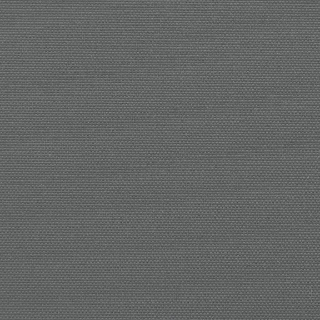Seitenmarkise Ausziehbar Anthrazit 160x1000 cm