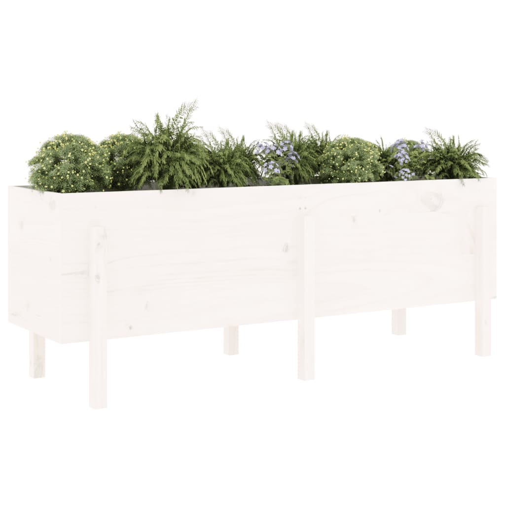Raised bed white 160x50x57 cm solid pine wood