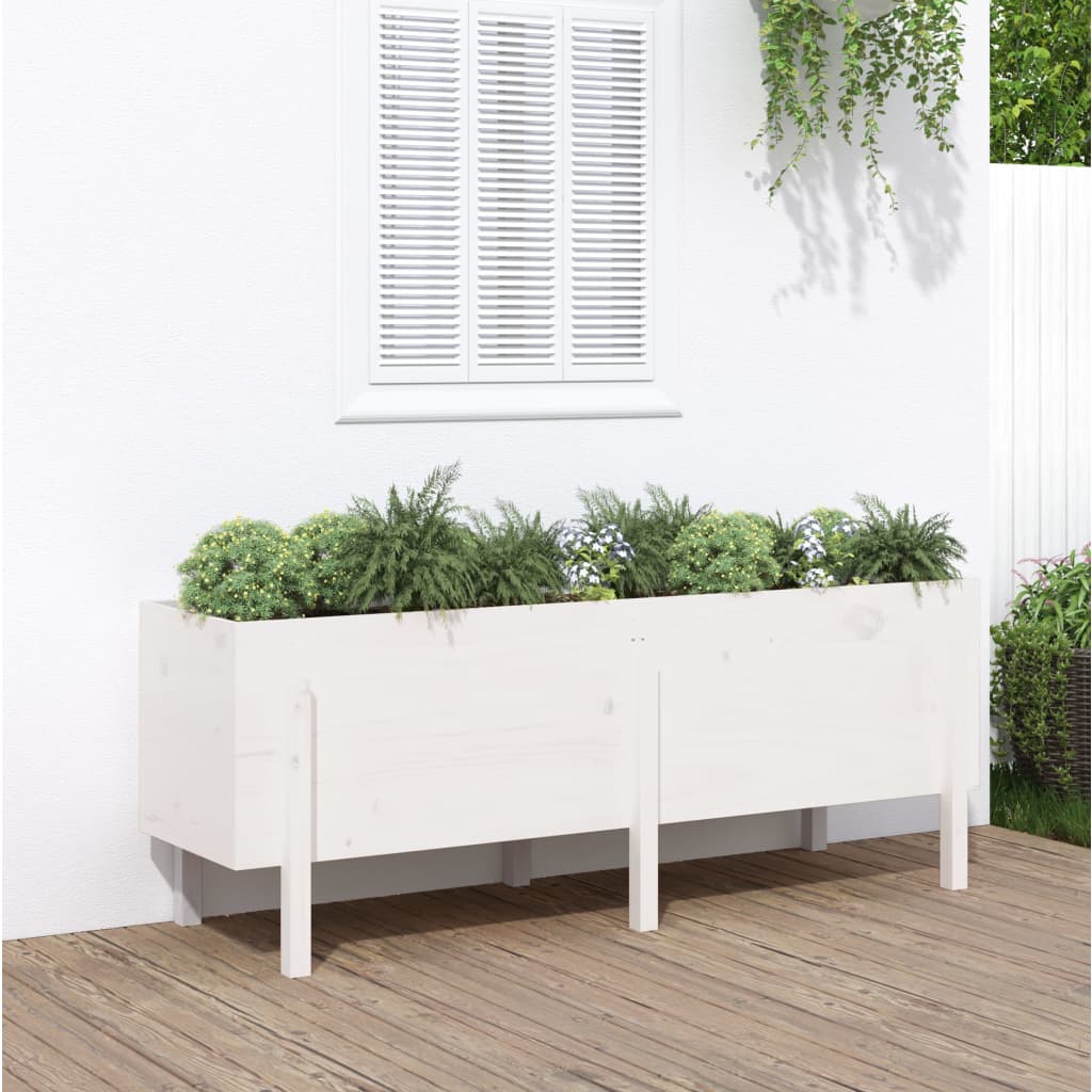 Raised bed white 160x50x57 cm solid pine wood